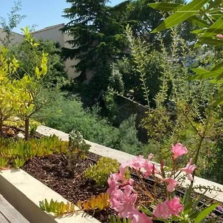 Apartment 2 Pieces Avec Terrasse Et Piscine - 4 Pers - - Fr-1-609-111 Cannes